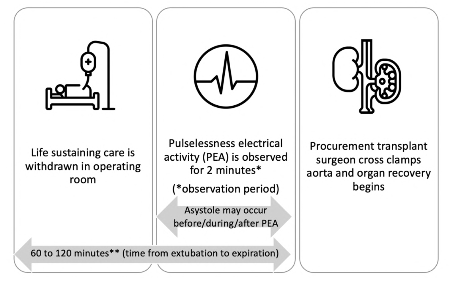 Figure 2: Donation after circulatory death timeline from withdrawal to procurement